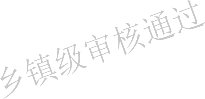 乡镇级审核通过